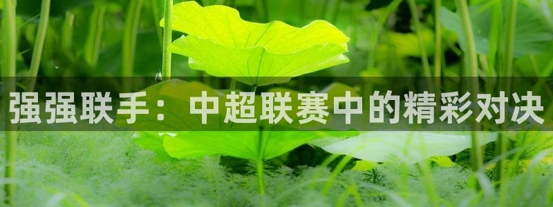 沙巴官网体育