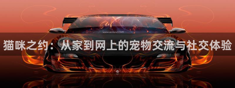 袋鼠直播体育直播：猫咪之约：从家到网上的宠物交流与社交体验