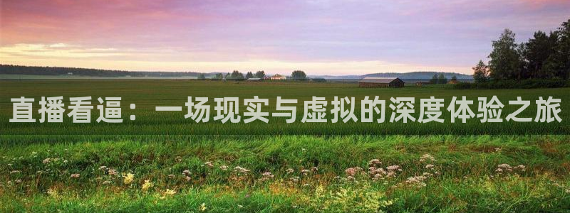 袋鼠直播体育在线观看边看边玩1.新通道.top：直播看逼：一场现实与虚拟的深度体验之旅