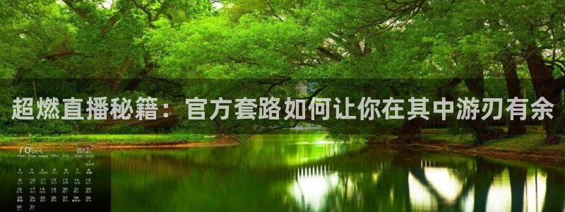 袋鼠体育nba直播：超燃直播秘籍：官方套路如何让你在其中游刃有余