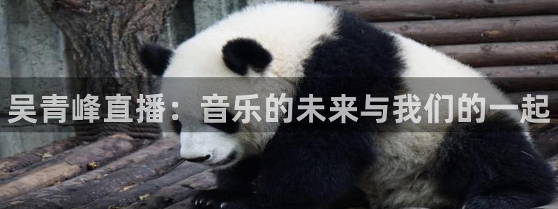 袋鼠体育直播下载：吴青峰直播：音乐的未来与我们的一起
