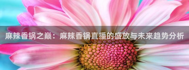 袋鼠直播篮球：麻辣香锅之巅：麻辣香锅直播的盛放与未来趋势分析