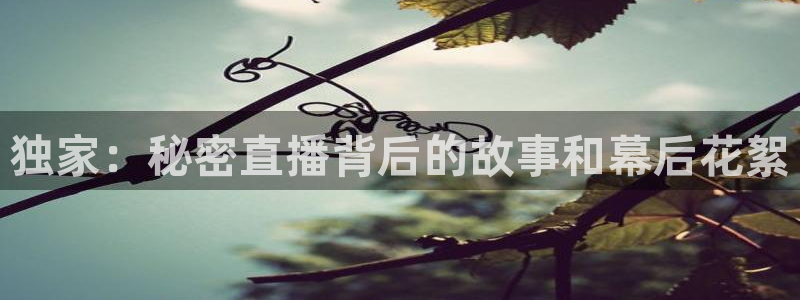 袋鼠足球直播：独家：秘密直播背后的故事和幕后花絮