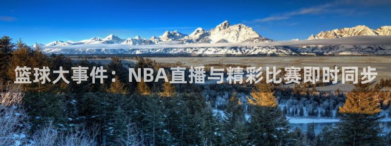 袋鼠直播nba：篮球大事件：NBA直播与精彩比赛即时同步