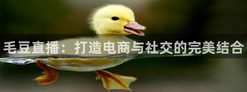 袋鼠直播体育.新网页.org：毛豆直播：打造电商与社交的完美结合