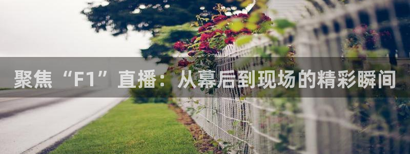 nba袋鼠直播在线观看：聚焦“F1”直播：从幕后到现场的精彩瞬间