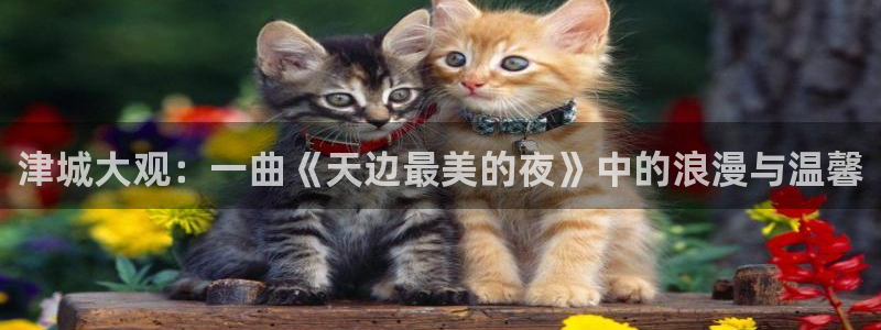 袋鼠体育直播app：津城大观：一曲《天边最美的夜》中的浪漫与温馨