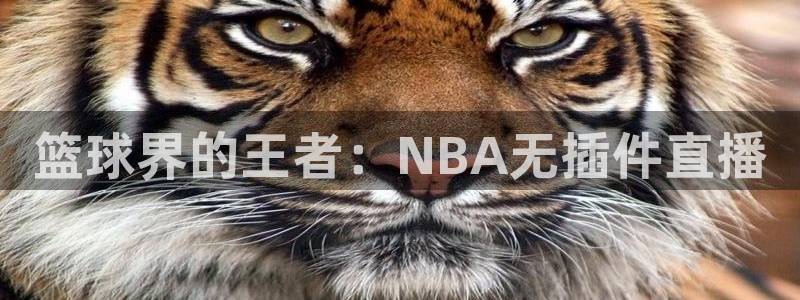 袋鼠直播体育直播入口：篮球界的王者：NBA无插件直播
